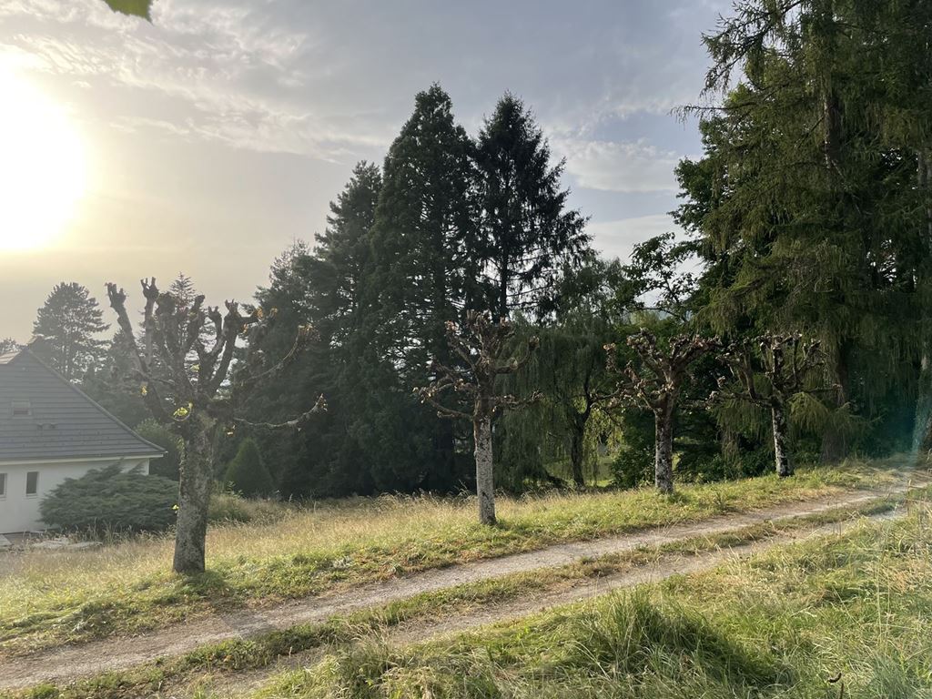 Terrain ST MARTIN D'URIAGE (38410) AUDREY IMMOBILIER
