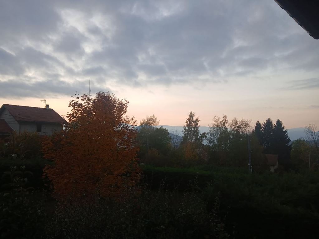 Appartement Duplex ST MARTIN D'URIAGE (38410) AUDREY IMMOBILIER