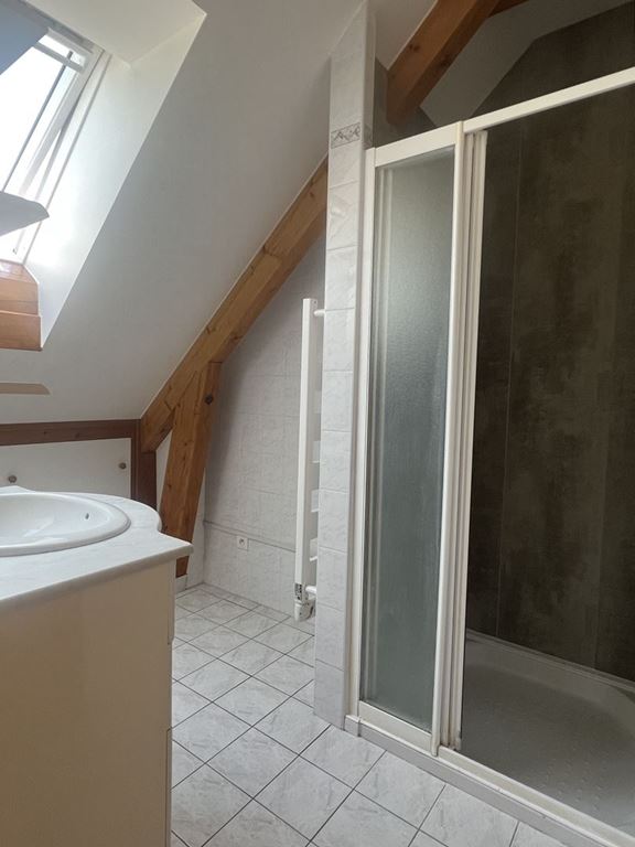 Appartement T3 BRIE ET ANGONNES (38320) AUDREY IMMOBILIER